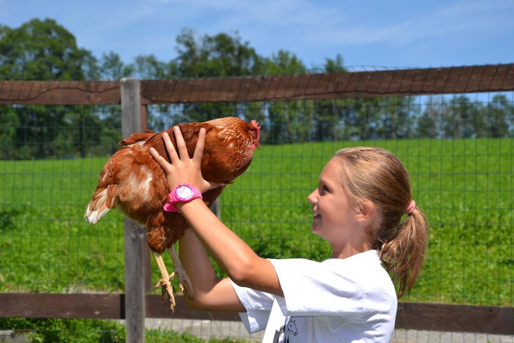 Feriendorf Ponyhof Fusch an der Grossglocknerstrasse Bagian luar foto