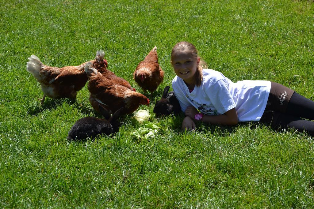 Feriendorf Ponyhof Fusch an der Grossglocknerstrasse Bagian luar foto