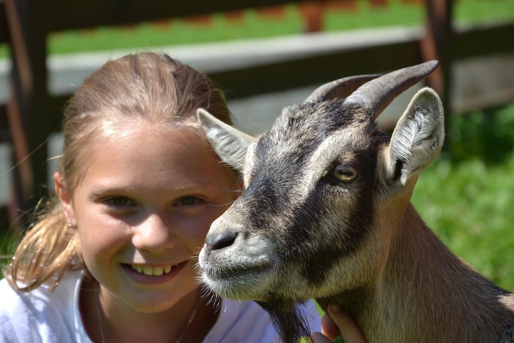 Feriendorf Ponyhof Fusch an der Grossglocknerstrasse Bagian luar foto
