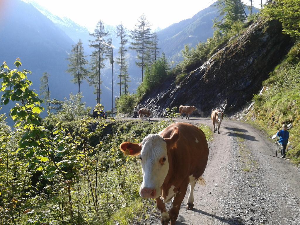 Feriendorf Ponyhof Fusch an der Grossglocknerstrasse Bagian luar foto