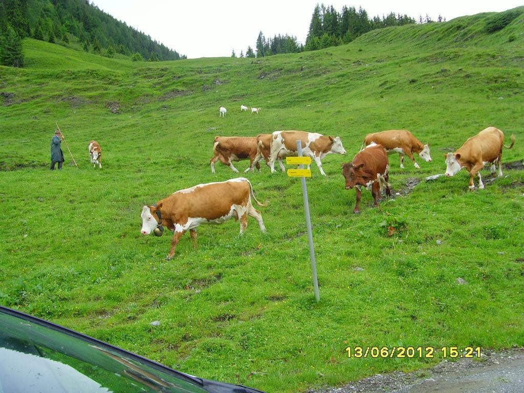 Feriendorf Ponyhof Hotel Fusch an der Grossglocknerstrasse Bagian luar foto