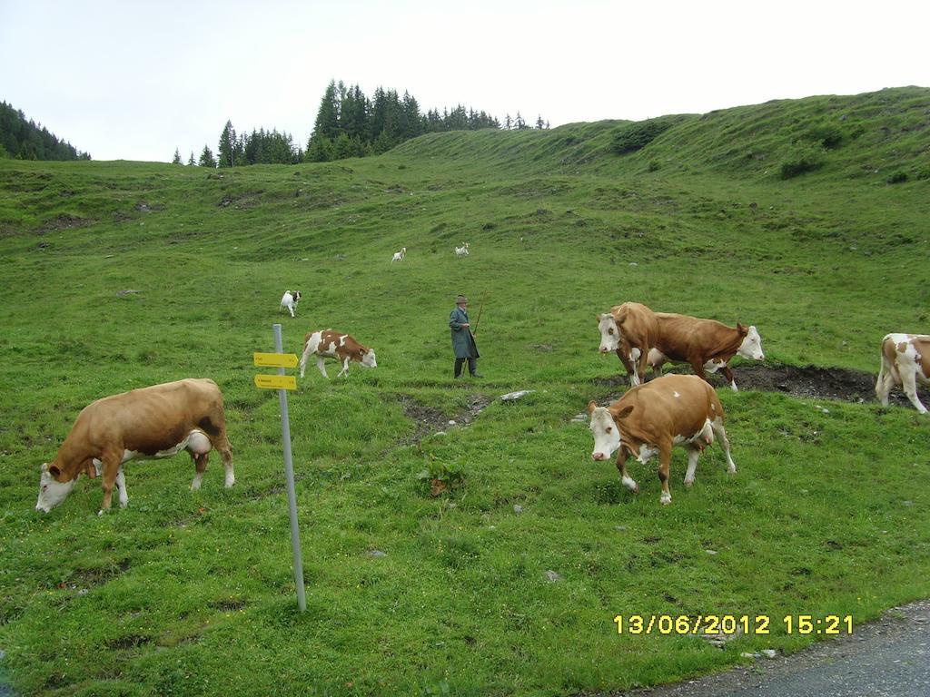 Feriendorf Ponyhof Fusch an der Grossglocknerstrasse Bagian luar foto